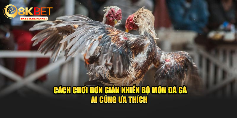 Cách chơi đơn giản khiến bộ môn đá gà ai cũng ưa thích