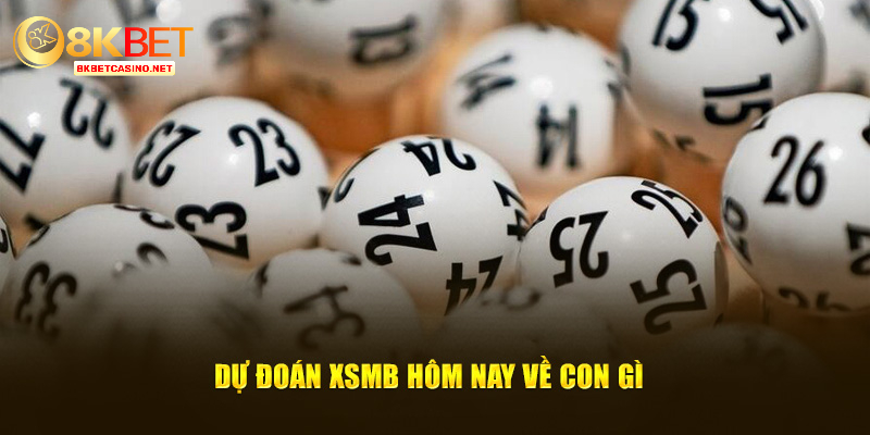 Dự đoán XSMB hôm nay về con gì