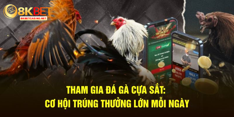 Lưu ý khi tham gia đá gà cựa sắt cần lưu ý 