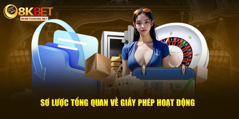 Sơ lược tổng quan một cách cụ thể về giấy phép hoạt động 