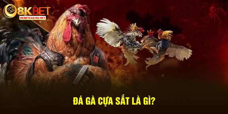 Đá gà cựa sắt là gì