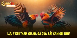 Tham gia đá gà cựa sắt có cơ hội trúng thưởng lớn mỗi ngày